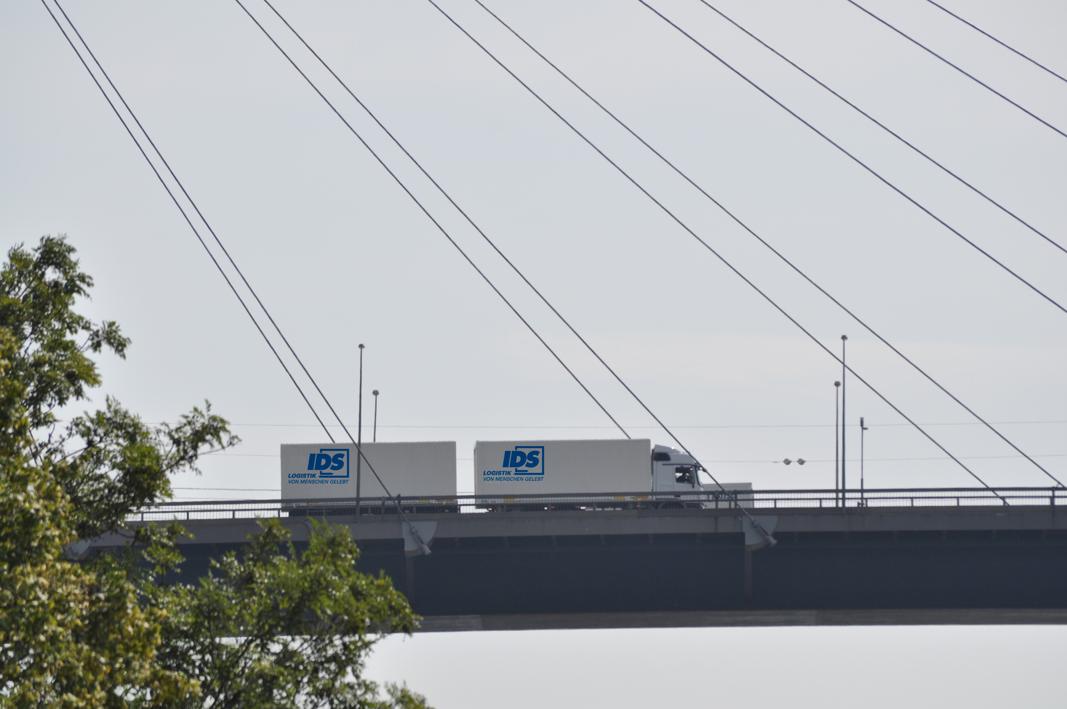 Die Datei Druckversion_6.jpg herunterladen